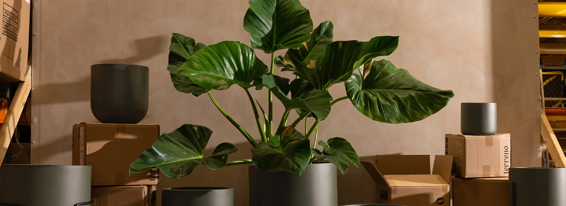 garden guru community